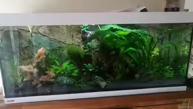 Südamerika Flusslauf von Elchristo