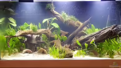 Südamerika in der Oberpfalz von Heppy