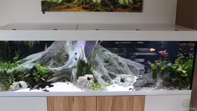 Südamerika mit Kompromissen -) von Wabi