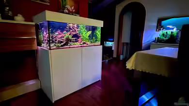 Südamerika Tank von Tim1979