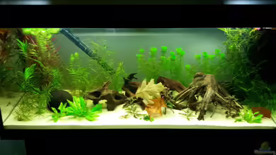 Südamerika Traum von Basti Rothe