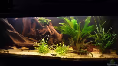 Südamerika von Bavaria