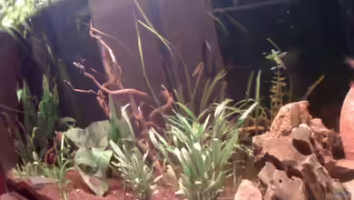 Südamerika von Jürgen Müller