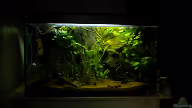 Südamerika von Herki