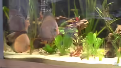 suedamerika von Michael Bodem