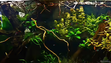 Südamerika von Mike Reimann