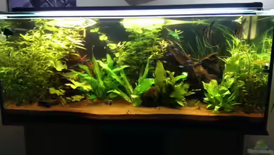 Südamerika von urml87