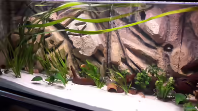 Südamerika von brokhauser