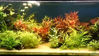 Südamerika von Schnuppe