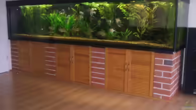 Südamerika von Stefan-HL