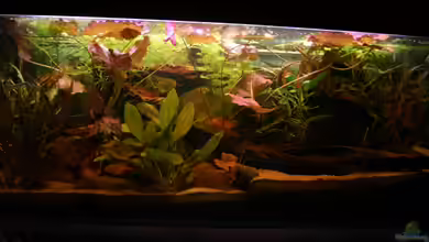 Südamerikabecken von Mad_Marder