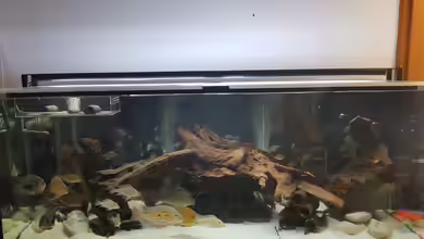 Südamerikabecken von Steffen Hübbers