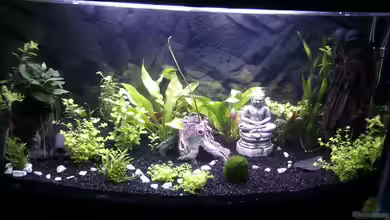 Sydney`s new world von Migaloo