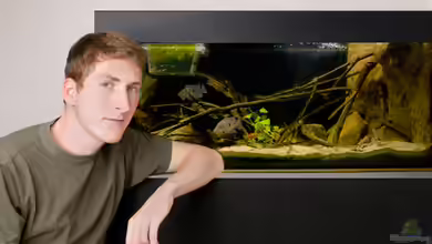 Tabasco Fischland von Benjamin Hamann