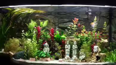 Tal der Könige von Sascha Mayr