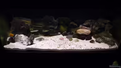 Tanga-Arena (aufgelöst) von carkl