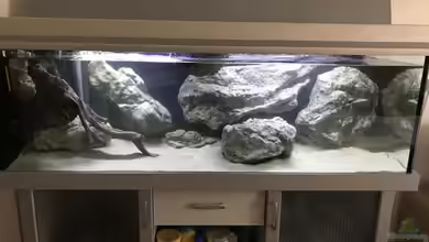 Tanganjika 3.0 von Marco