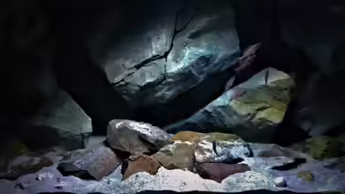 Tanganjika Felszone von pacho