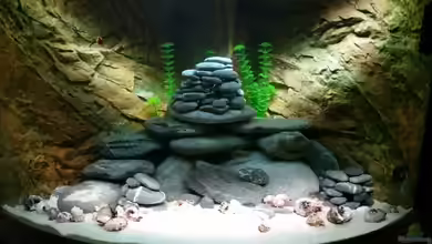 Tanganjika mal anders von Moorna