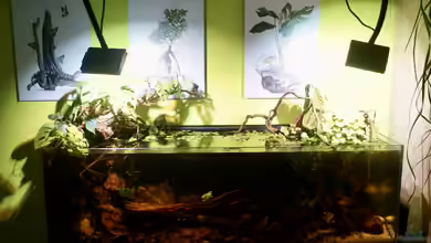 Tank Blacky von _Mike_