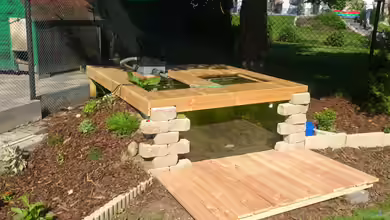 Teich 26604 von Thomas38