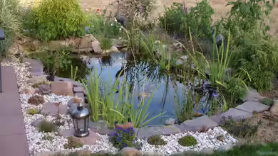 Teich 28514 von JOHN