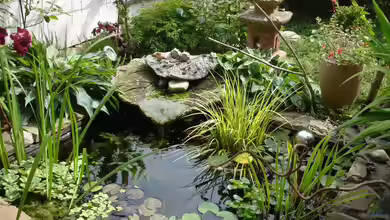 Teich 30736 - Gartenteichlein von Grünhexe