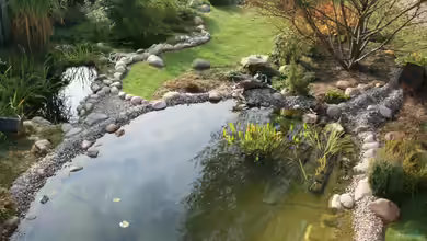 Teichlandschaft von Susanne Axt