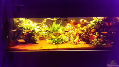 Teufelsbecken von Seemann