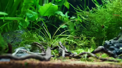 TEUTO canyon von Guido Seifert