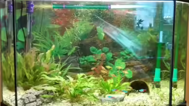 THE_AQUARIUM von Matze2903