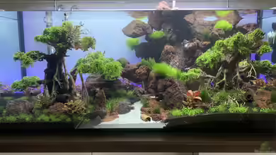 The Bridge von Matze3110