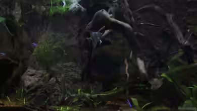 The Peruvian von Falk