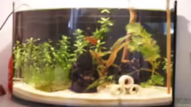 The Zen Garden von Yannick