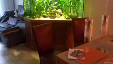 to be continued (nur noch als Beispiel) von schmitzkatze