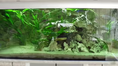 Toelz Räuberhöhle von Toelz