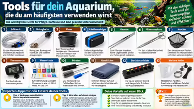 Tools für dein Aquarium, die du am häufigsten verwenden wirst