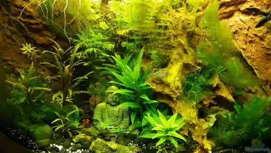 Trigon 190 "Buddha" von Chita