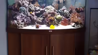 Trigon 350 von Christian Holtkamp