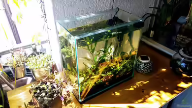 Tümpel von Mike Steidl