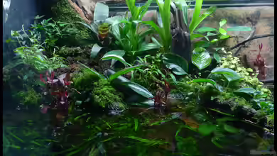 Two Worlds Nur noch als Beispiel von DerImperator