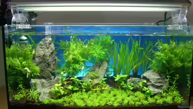 Underwater mountains von marspi