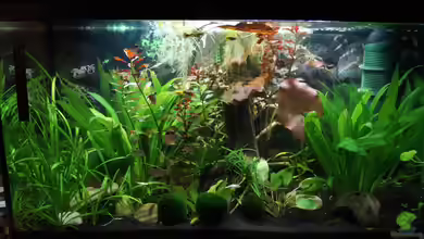 Unser Erstes von Kristin89