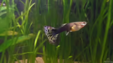 Unser großer Spielplatz aufgelöst von mimi211080