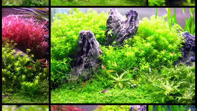 Unser Hobby von Mel&Marc