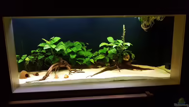 Unser lebendiges Bild von Vero und David