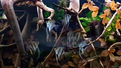 Unterspültes Steilufer am Rio Nanay (aufgelöst) von ravaka