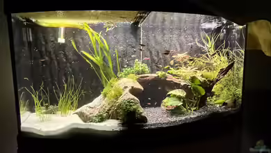 Unterwasserinsel von BoelleRBL