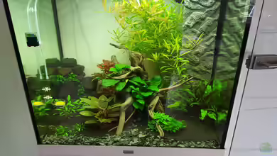 Unterwasserwelt von Oliver Peters