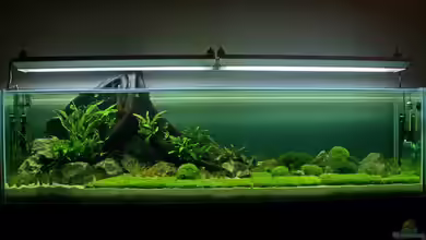 Valley of Rainbows von Rick James